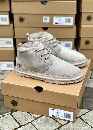 Уги neumel light grey suede угги