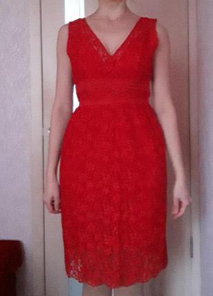 Платье красное гипюровое с сеткой на талии