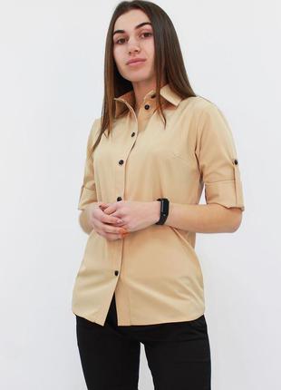 Классическая женская блузка "ivory", размеры 42 - 483 фото