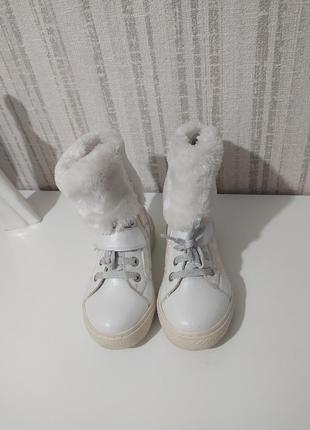 Чобітки англія