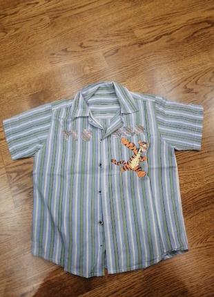 Тенниска винни пух