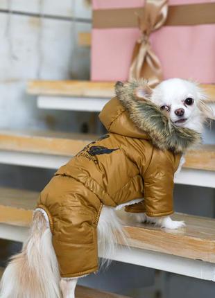 Зимовий комбінезон для собак на хутрі унісекс1 фото