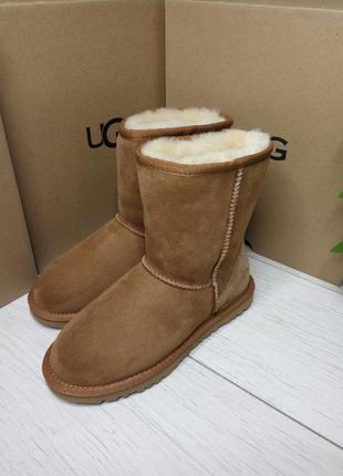 Угги sabots ugg pumped