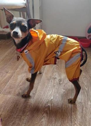 Курточка для собаки курточка для пса вітрьовка для собак та котів витревка для собак куртка для соб2 фото