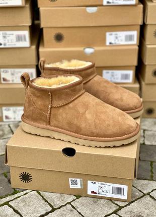 Ugg ultra classic mini chestnut suede чоботи уггі ультра міні каштановий колір