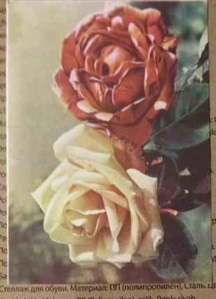 Открытка 1958 цветы1 фото