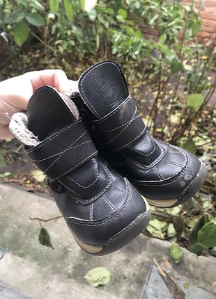 Сапоги осень-весна деми