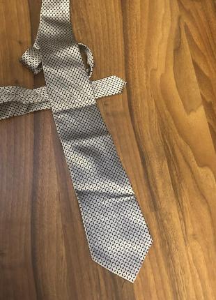Краватка pavone collection
