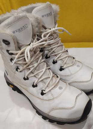 Черевики, чобітки everest