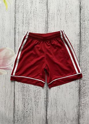 Крутые шорты для спорта adidas 5-6лет