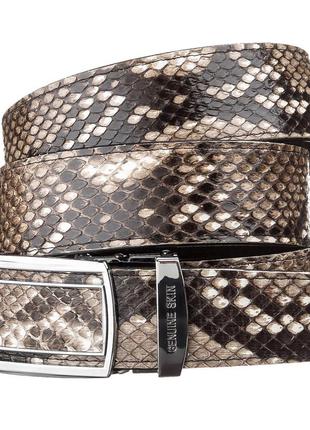 Ремінь-автомат snake leather 18201 з натуральної шкіри пітона різнобарвний