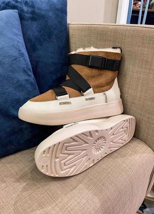 Ugg classic boom buckle chestnut женские угги7 фото