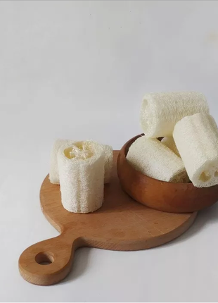 Люфа - многофункциональная губка из тыквы