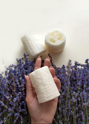 Люфа - многофункциональная губка из тыквы