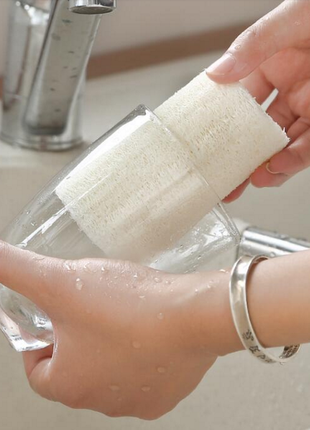 Люфа - многофункциональная губка из тыквы