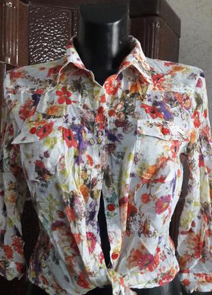 Веселенька річна блузка