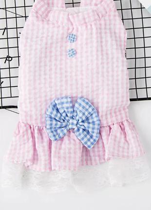 Одяг для собак і котів