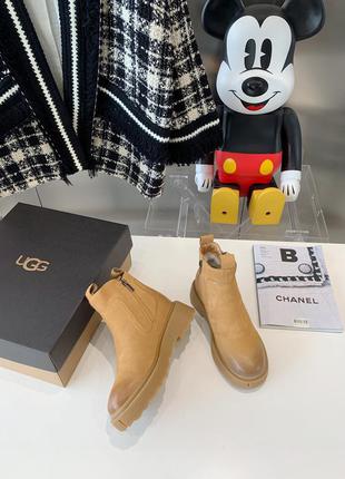 Зимові жіночі чоботи ugg4 фото