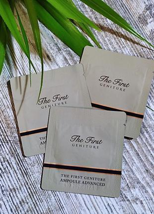 Люксовая корейская косметика ohui the first geniture ampoule advanced пробник