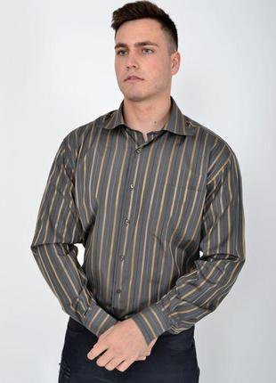 Серая мужская рубашка в полоску размеры s fg_00613_01