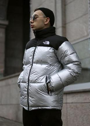 Зимняя куртка the north face siut grey