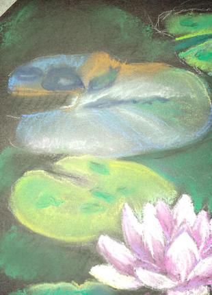 Рисунок  картина пастелью размер а4 водяная лилия автограф4 фото