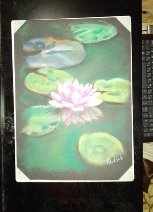 Рисунок  картина пастелью размер а4 водяная лилия автограф6 фото