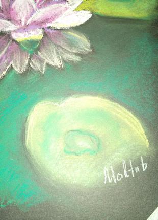 Рисунок  картина пастелью размер а4 водяная лилия автограф5 фото