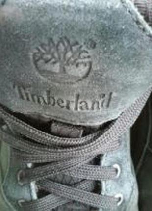 Демисезонные ботинки timberland 38р.2 фото