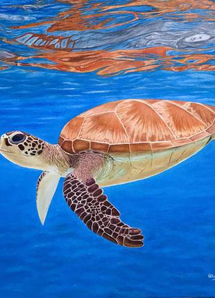 Авторська картина маслом черепаха