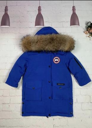 Парку canada goose