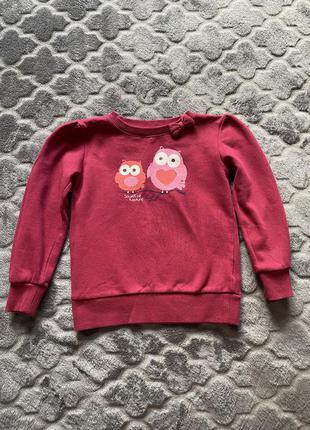 Topo topo светр для дівчинки на флісі (сови)