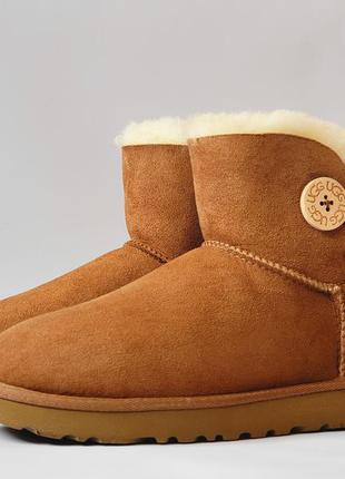 Cапожки ugg mini bailey button ii chestnut