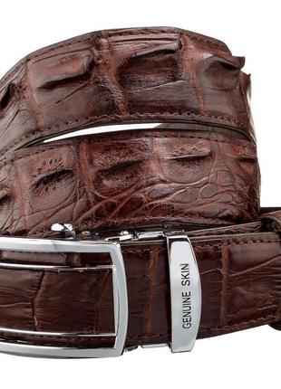 Ремень-автомат crocodile leather 18235 из натуральной кожи крокодила (каймана) коричневый