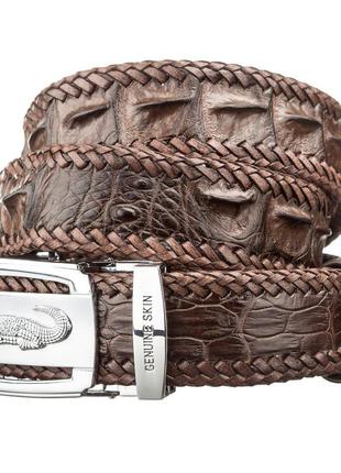 Ремень crocodile leather 18599 из натуральной кожи крокодила коричневый