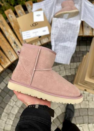 Угги ugg classic mini pink suede