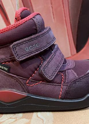 Зимние кожаные ботинки ecco gore-tex 22 р