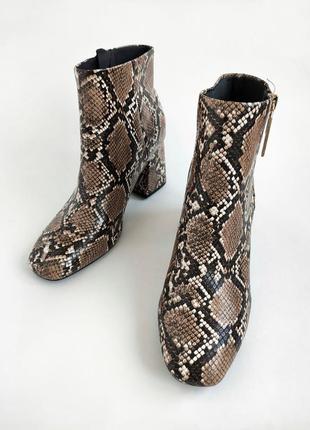 Ботинки stradivarius со змеиным принтом. яркий анималистический акцент в вашем образе. обувались оди5 фото