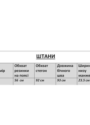 Спортивные штаны на флисе / джогерсы на флисе4 фото