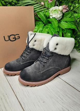 Уггі жіночі чоботи Urban ugg натуральні, зимові уггі