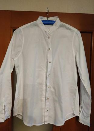 Рубашка блузка женская massimo dutti