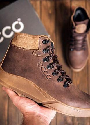 Зимние кожаные спортивные ботинки на меху ecco nubuck brown