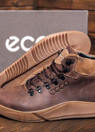 Зимние кожаные спортивные ботинки на меху ecco nubuck brown3 фото