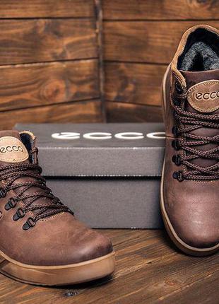 Зимові шкіряні спортивні черевики, кросівки на хутрі ecco nubuck brown1 фото