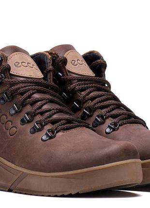 Зимові шкіряні спортивні черевики, кросівки на хутрі ecco nubuck brown10 фото