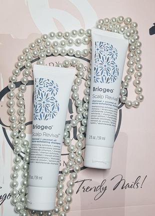 Briogeo scalp revival™ charcoal + coconut oil micro-exfoliating shampoo 59 мл – мініатюра освіжаючого і отешелушивающего шампуню1 фото