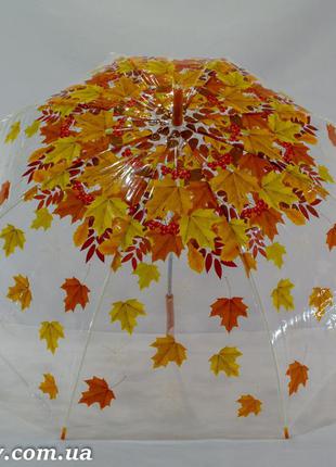 Прозора парасолька - тростина з листям на 8 карбонових спиць від фірми "swift".2 фото
