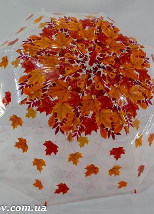Прозрачный зонтик трость с листьями на 8 карбоновых спиц от фирмы "swift".1 фото