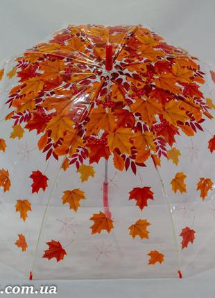 Прозрачный зонтик трость с листьями на 8 карбоновых спиц от фирмы "swift".2 фото
