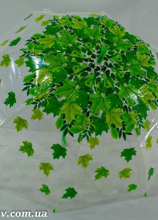 Прозрачный зонтик трость с листьями на 8 карбоновых спиц от фирмы "swift".